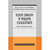 Etapy zmiany w terapii uzale�nie�. Wyb�r i planowanie interwencji