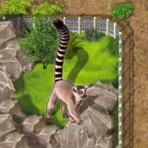 Zooloretto: dodatek Lemur G3