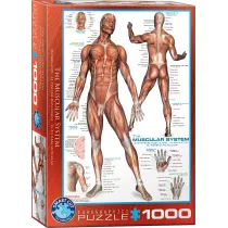 Puzzle 1000 el. Cz�owiek Eurographics