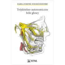 Tr�jdzielno-autonomiczne b�le g�owy