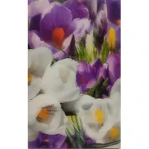Mini kartka 3D - Krokus