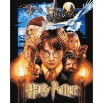 Ideyka Malowanie po numerach - Harry Potter metal 40x50cm