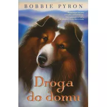 Droga do domu