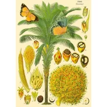 Madame Treacle Karnet B6 brokat z kopert� Natura 5