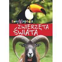 Zwierz�ta �wiata