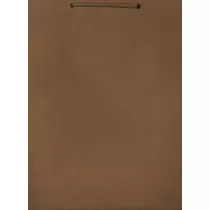 Paw Torba szara W1 butelka op.10szt (11x9x40cm)