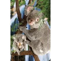 Worth Keeping Mini kartka 3D Koala