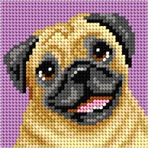 Haft. Moje pierwsze wyszywanie - Mops Anex-bis