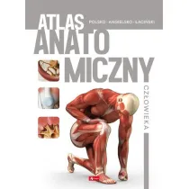 Atlas anatomiczny cz�owieka