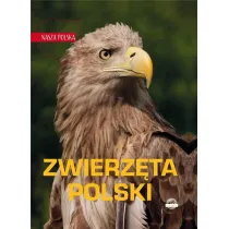 Nasza Polska. Zwierz�ta Polski