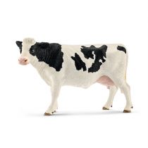 Krowa rasy Holstein
