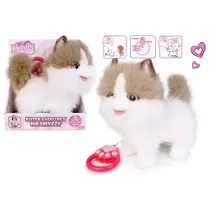 Kot chodzcy na smyczy biao rudy Artyk