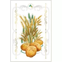 DaVinci Karnet B-BD 502 059 + koperta Zbo�e 12x18 cm