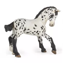 �rebi� Appaloosa