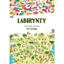 Labirynty. Niezwyk�a zabawa dla ka�dego