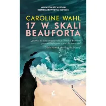 17 w skali Beauforta