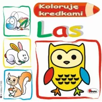 Koloruj kredkami. Las
