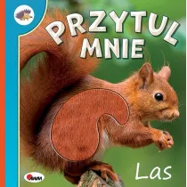 Przytul mnie Las