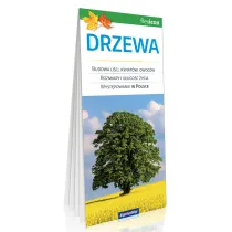 Drzewa. ExpressMap