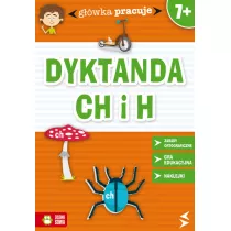 Dyktanda h i ch gwka pracuje