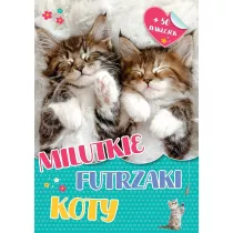 Milutkie futrzaki. Koty