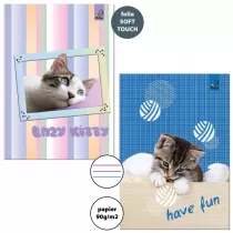 Bee-bee Zeszyt A5/32K 3-linie kolor 90g BF Cats (10szt)