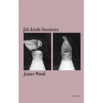 Jak dzia�a literatura