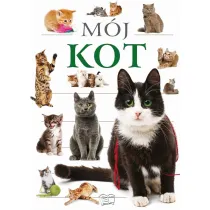 M�j kot