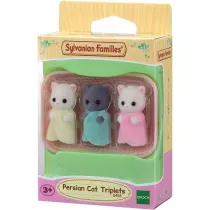 Sylvanian Trojaczki perskich kotkw