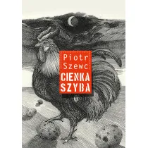 Cienka szyba