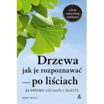 Drzewa &ndash; jak je rozpoznawa� po li�ciach