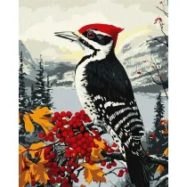 Ideyka Malowanie po numerach - Dzi�cio� na ga��zi 40x50cm