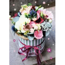 Armin Style Karnet GM-790