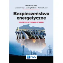 Bezpiecze�stwo energetyczne