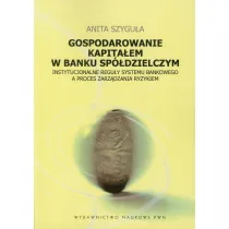 Gospodarowanie kapita�em w banku sp�dzielczym