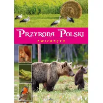 Przyroda Polski. Zwierz�ta