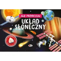 KSIAZECZKA EDUK 255X185 OPR TW UKLAD SLON 3D AWM