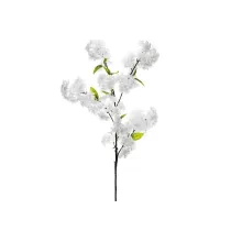 Kwitnca Winia biaa 97cm