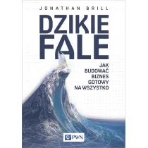 Dzikie fale