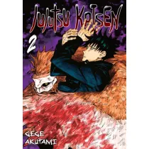 Jujutsu Kaisen. Tom 2