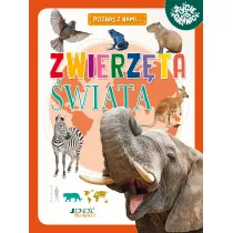 Zwierz�ta �wiata