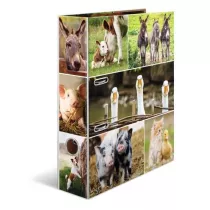 Herma Segregator A4 - Zwierzta wiejskie
