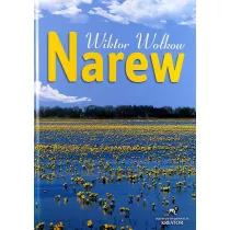 Narew