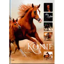Konie