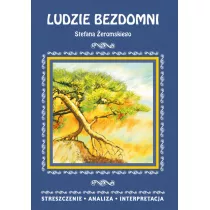 Ludzie bezdomni Stefana eromskiego. Streszczenie, analiza, interpretacja