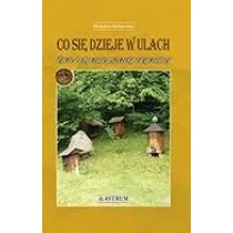 Co si� dzieje w ulach