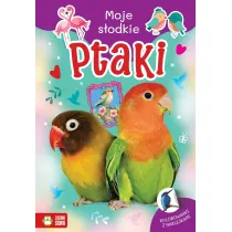 MALOWANKA A4 SLODKIE ZWIERZAKI PTAKI NAKL ZS