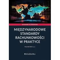 Mi�dzynarodowe standardy rachunkowo�ci w praktyce