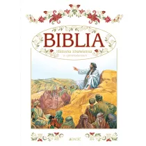 Biblia. Historia zbawienia w opowiadaniach (etui)