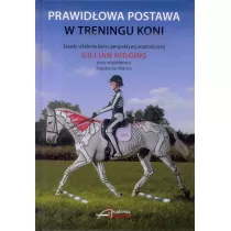 Prawidowa postawa w treningu koni